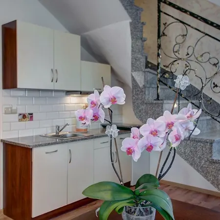 Apartamenty Gawlaki Zakopane Exteriér fotografie