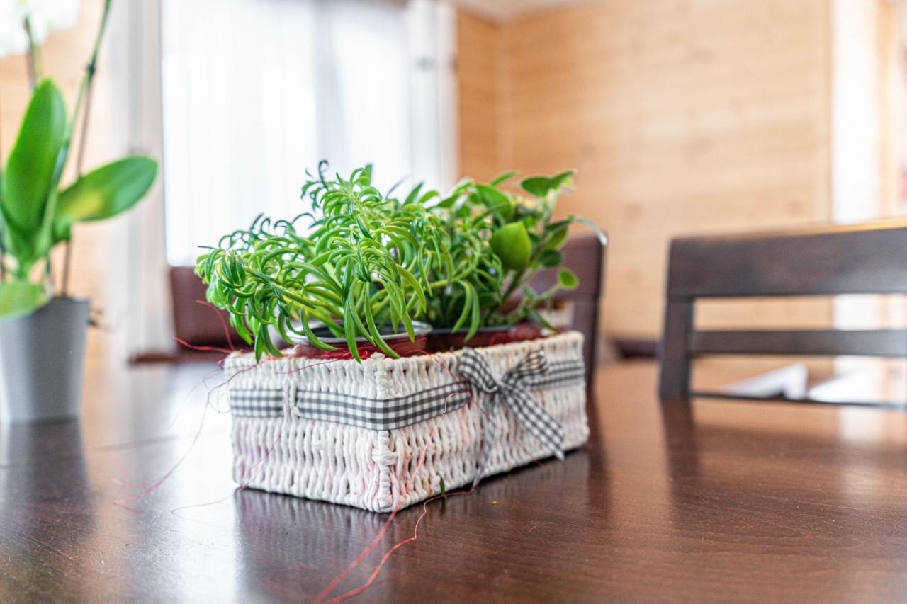 Apartment Gawlaki Zakopane