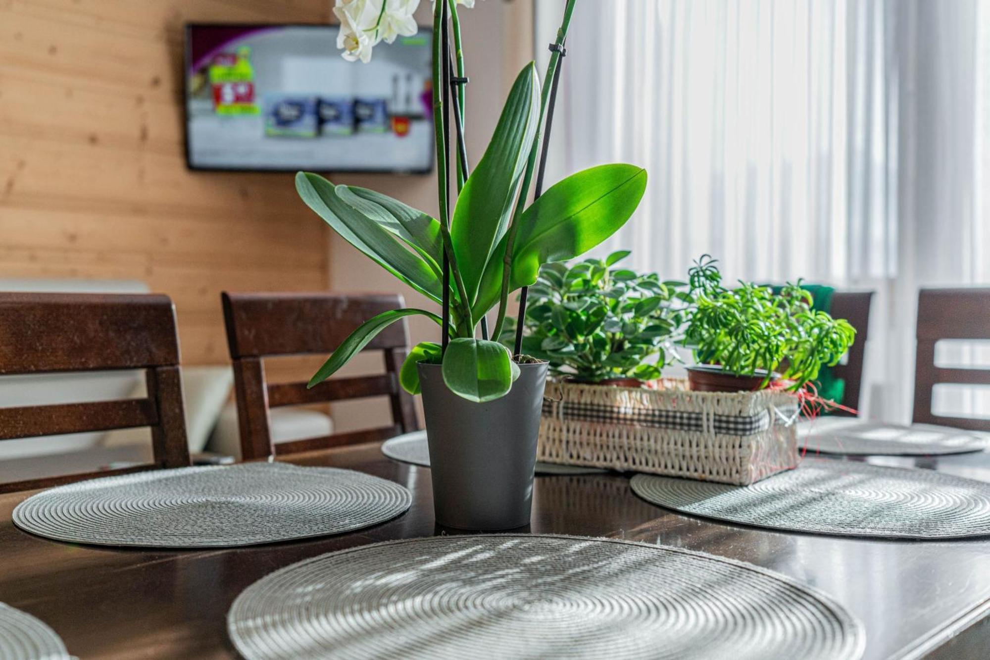Apartment Gawlaki Zakopane